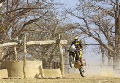 Le Portugais Villar sur sa KTM - AFP - Patrick Hertzog